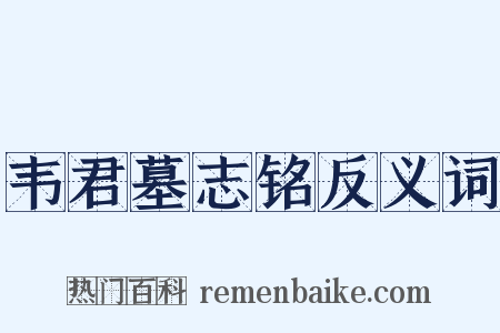 韦君墓志铭反义词是什么意思的图片